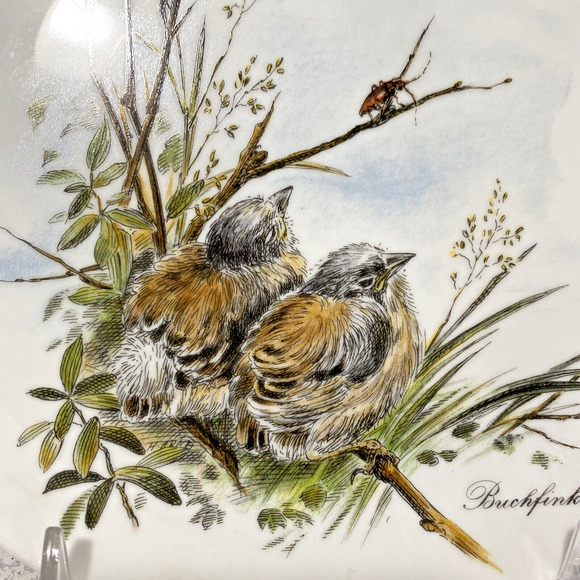 Vintage Kaiser W Germany Fine Porcelain Nature Bird Decor Plate Buchfinken Finch - Picture 2 of 6